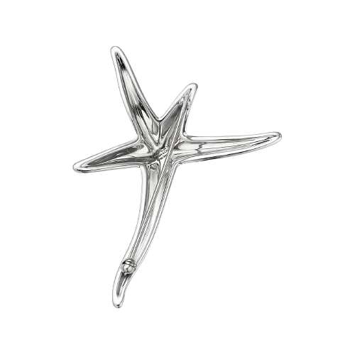 Elsa Peretti Starfish Brooch