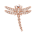 Enchant Dragonfly Brooch