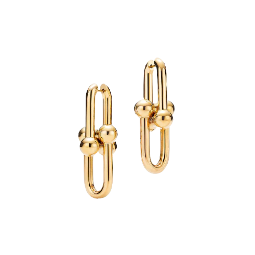 Hardwear Link Earrings